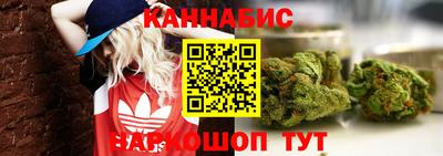 индика Нальчик