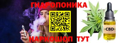 PSILOCYBIN Моздок