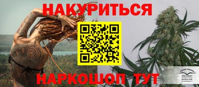 PSILOCYBIN Моздок