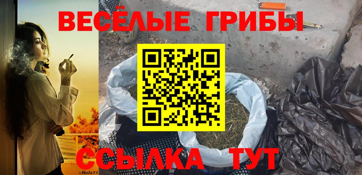 Галлюциногенные грибы мухоморы Владикавказ